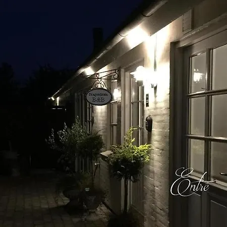 Dragondrum Bed & Kitchen Ullerslev