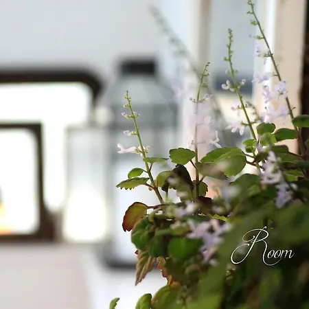 Bed & Breakfast Dragondrum Ullerslev